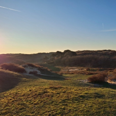Bewust Bollenstreek met Alexandra Grieten