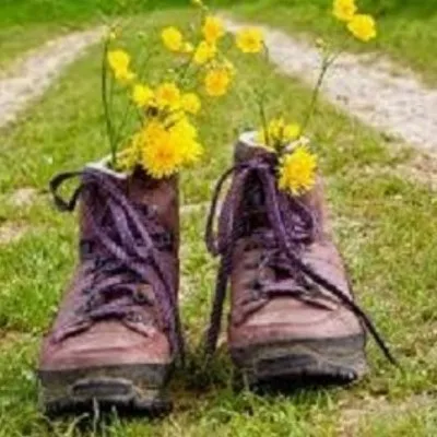 Bewust Bollenstreek met Alexandra Grieten