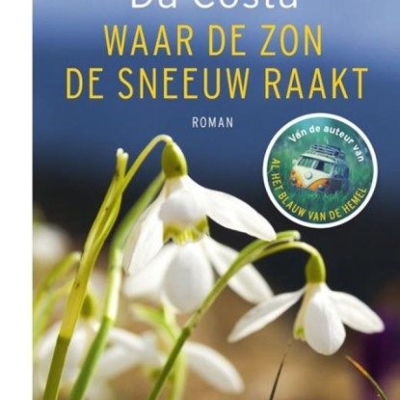 Liefdewerk  / Angela Roelen