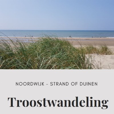 Pauline E.M. Hoogervorst Coach