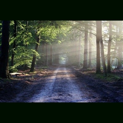 Nica-Luce: Praktijk voor Holistische Psychologie