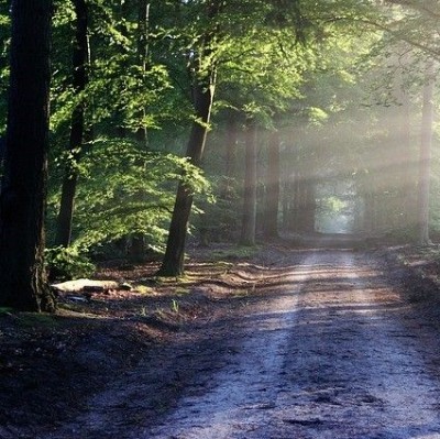 Nica-Luce: Praktijk voor Holistische Psychologie
