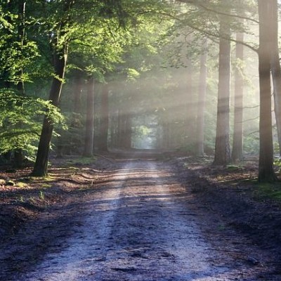 Nica-Luce: Praktijk voor Holistische Psychologie