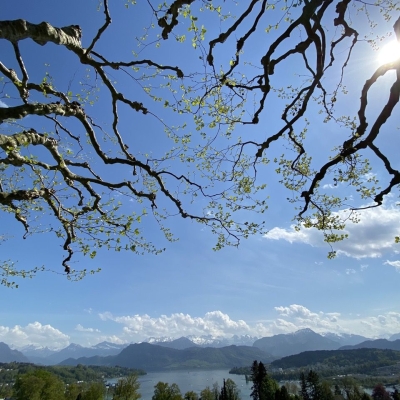 Nica-Luce: Praktijk voor Holistische Psychologie