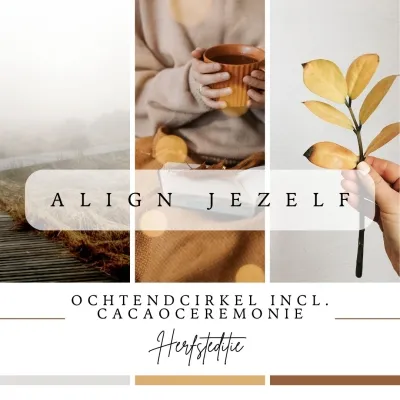 ALIGNS & LiliArt