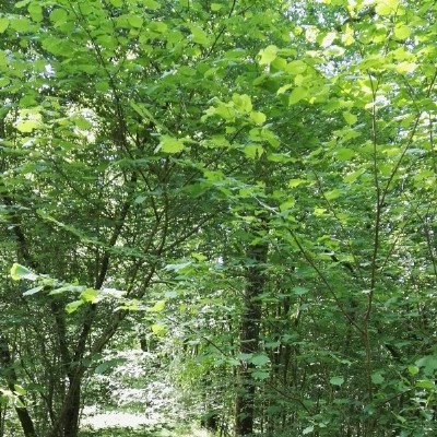 Silvia Heemskerk en Alfred Noort