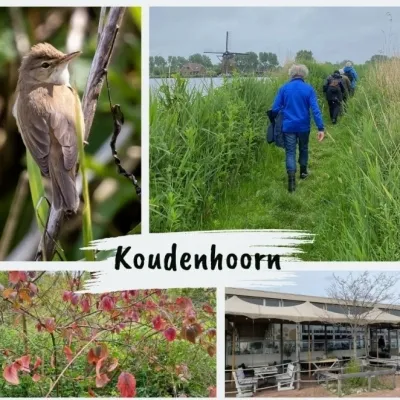 Ik zing mijn eigen lied / Annette