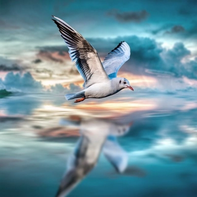 Ik zing mijn eigen lied / Annette Oppenberg