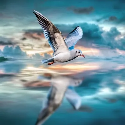 Ik zing mijn eigen lied / Annette Oppenberg