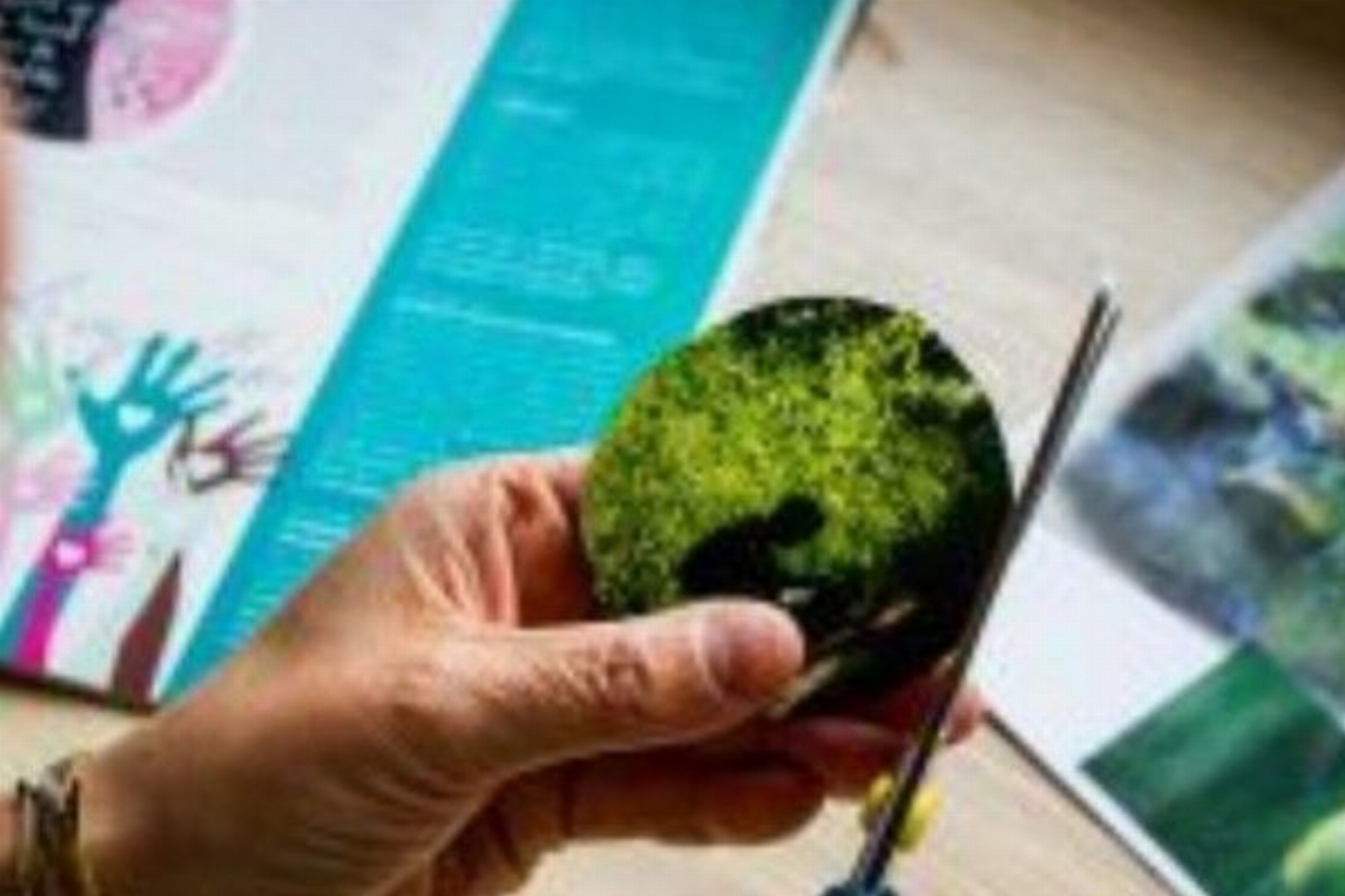 ACTIE 2=1 The Body Knows, Systemische werk & Brainspotting