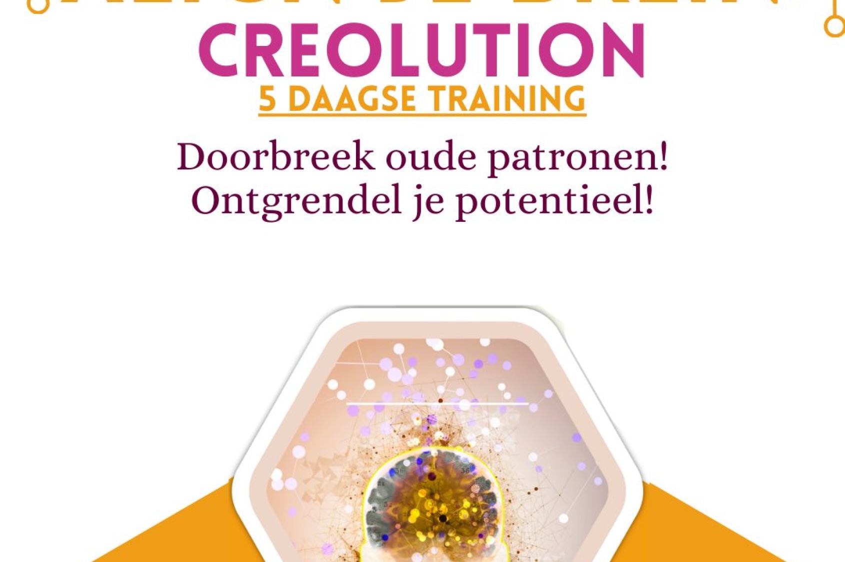 ALIGN je brein Creolution