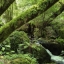 Foto 13 - 