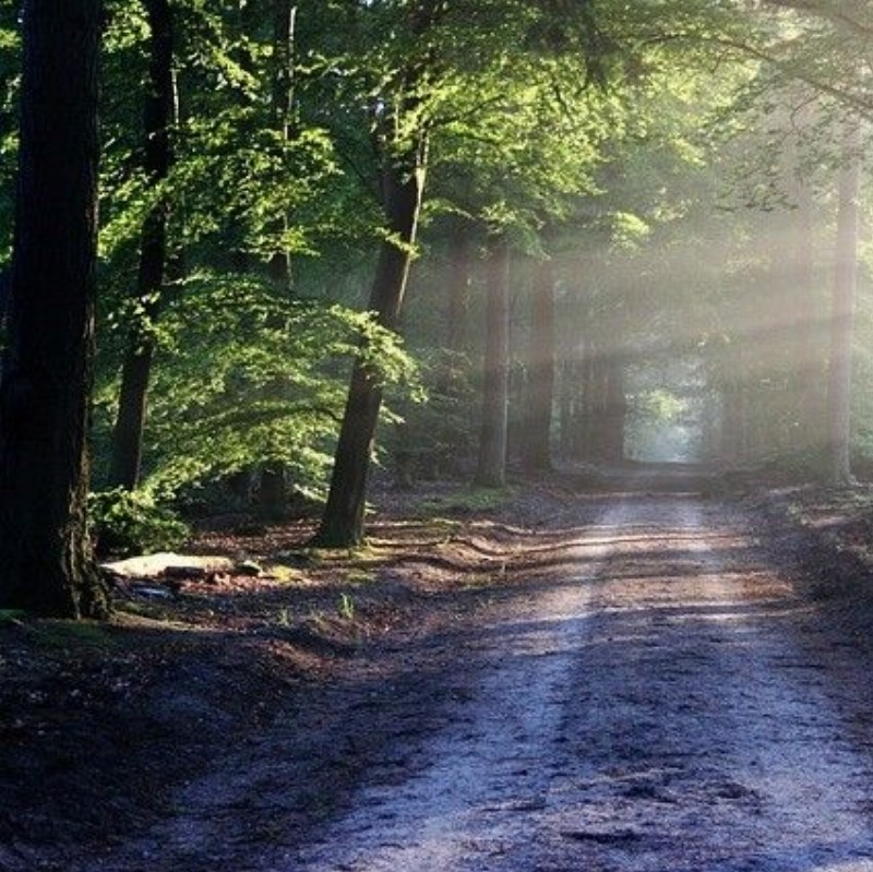Nicole van Ruitenbeek: Holistisch Psycholoog