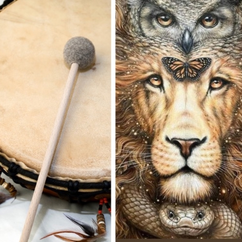 Sharonne van Waveren